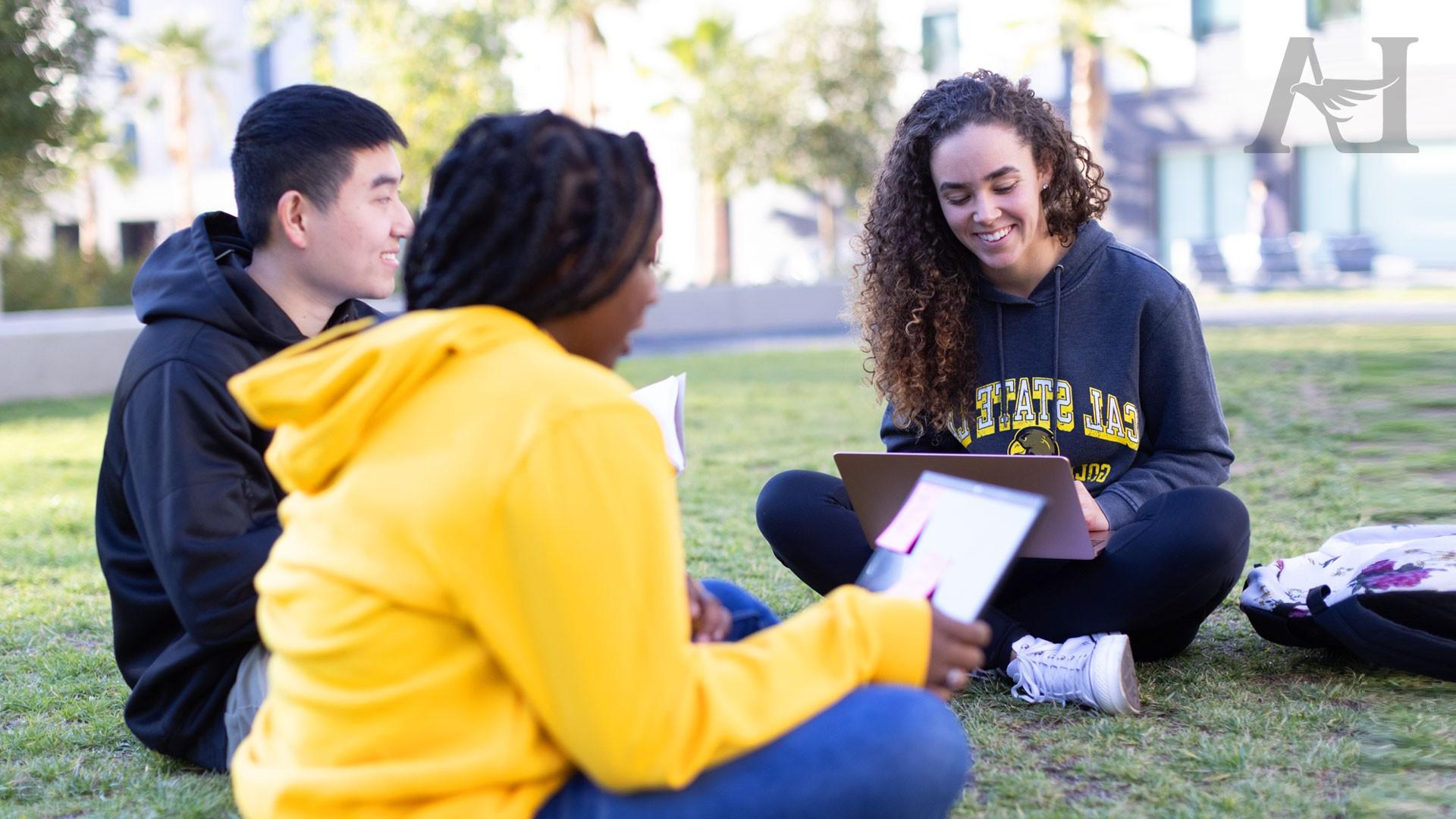 Students sitting together on a green lawn with many trees in the background.